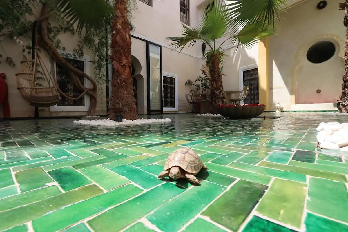 Dar Lysis Private With Pool And Breakfasts Villa Marrakesh